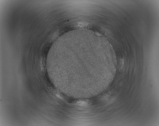 X0000062150236200512301601
