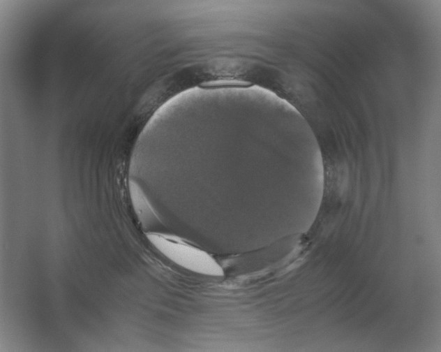 X0000062150237200512301601