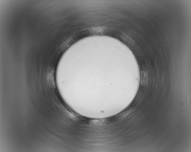 X0000062150238200512301601