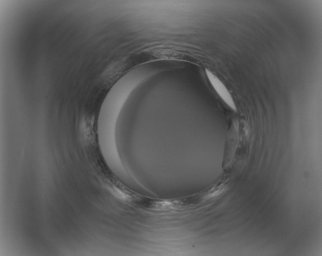 X0000062150239200512301601