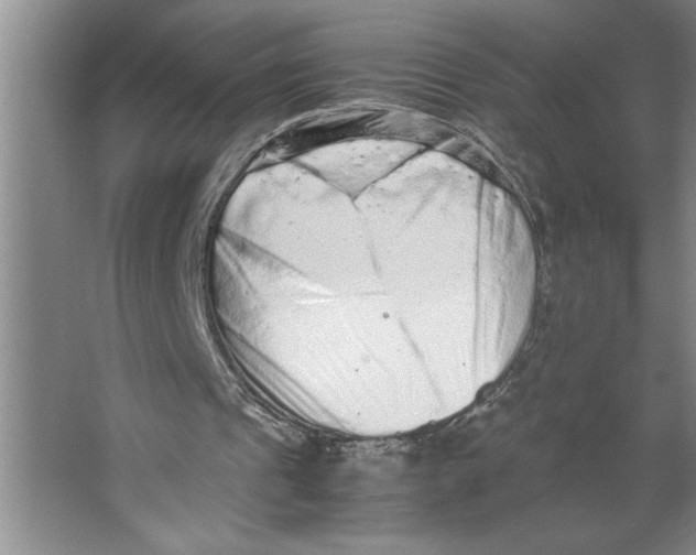 X0000062150241200512301600