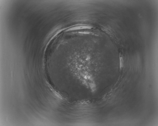 X0000062150243200512301600