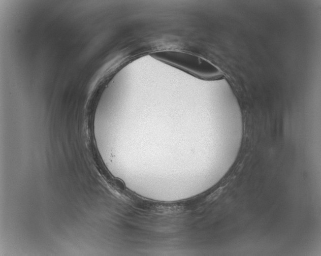 X0000062150245200512301600