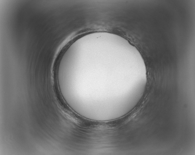 X0000062150246200512301600