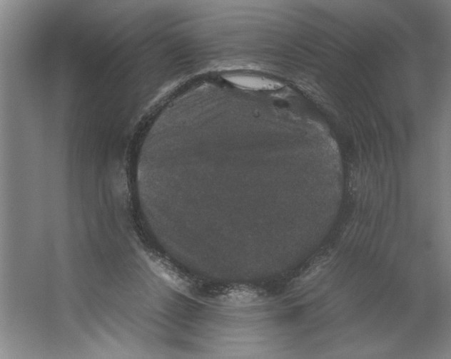 X0000062150256200512301601