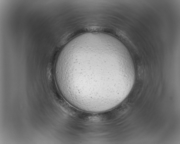 X0000062150259200512301601