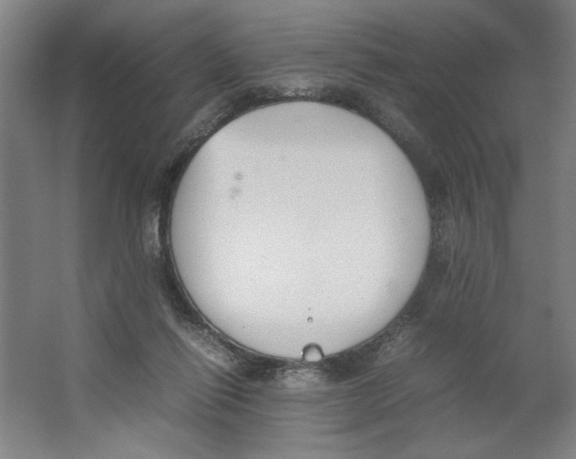 X0000062150262200512301601
