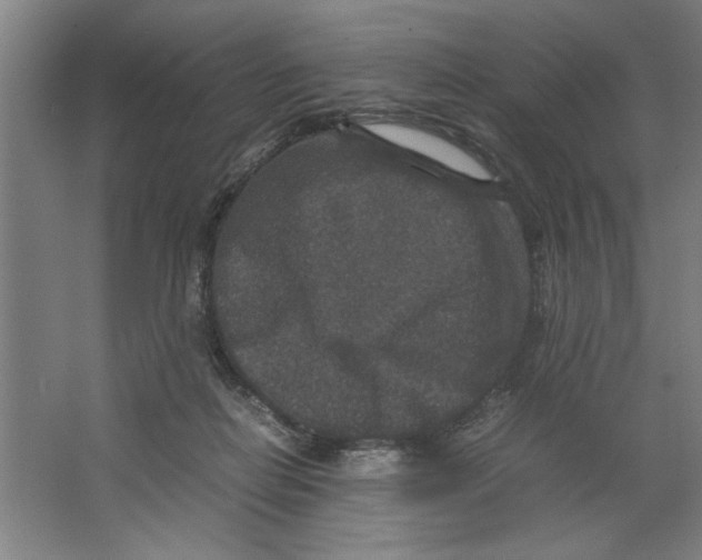 X0000062150266200512301601