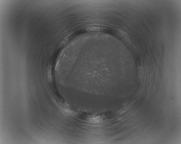 X0000062150267200512301601