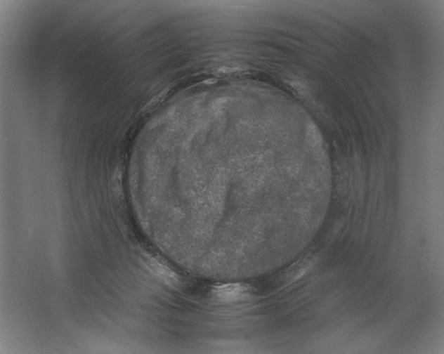 X0000062150269200512301601