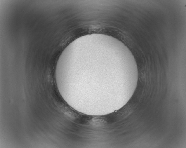 X0000062150270200512301601