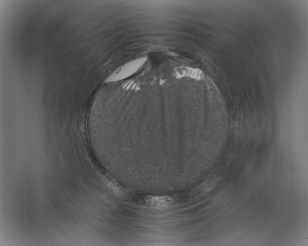 X0000062150277200512301601