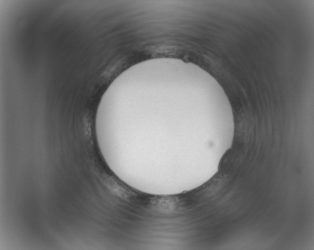 X0000062150282200512301601