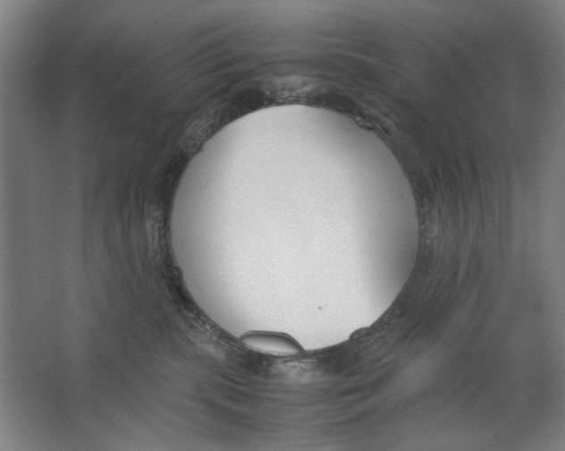 X0000062150283200512301601