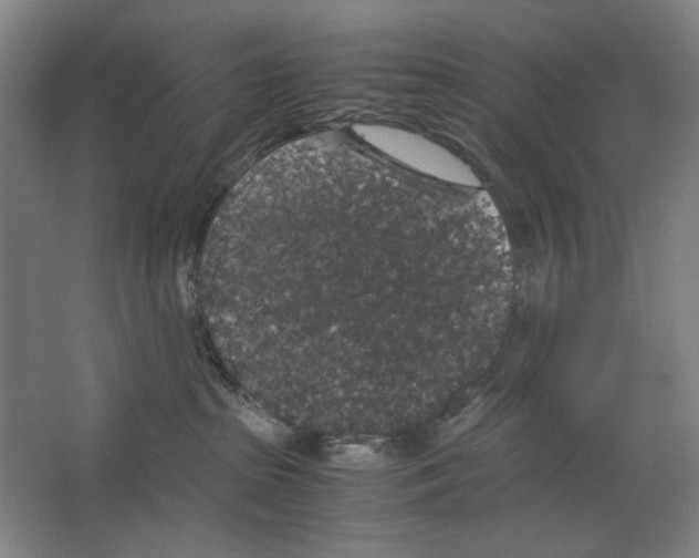 X0000062150285200512301601