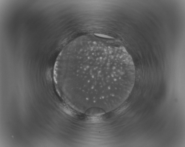 X0000062150286200512301601