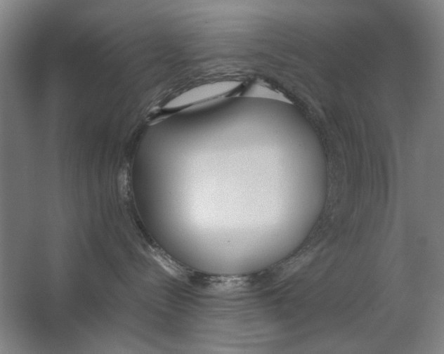 X0000062150288200512301601