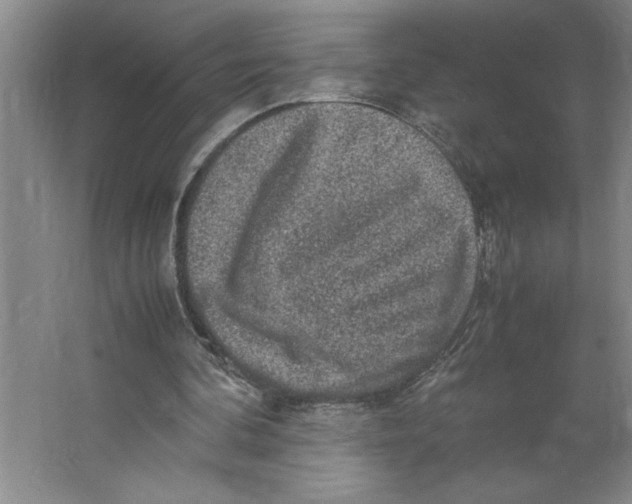 X0000062150292200512301600