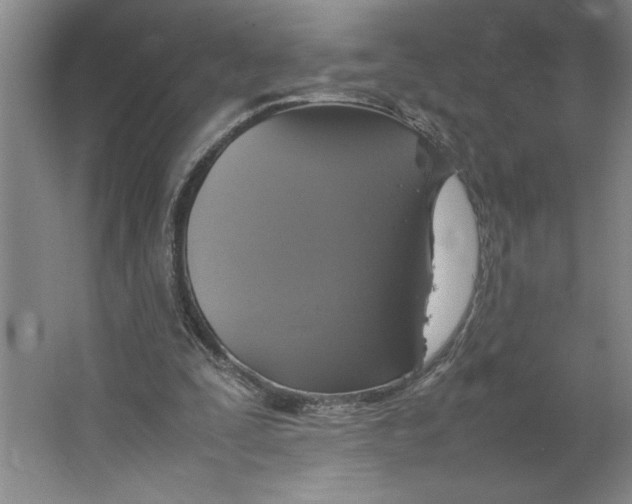 X0000062150295200512301600
