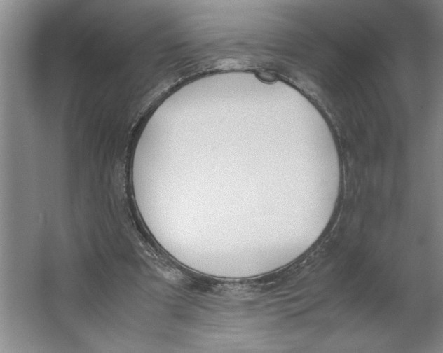 X0000062150297200512301600