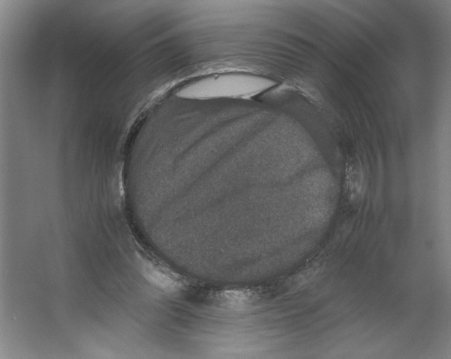 X0000062150302200512301600