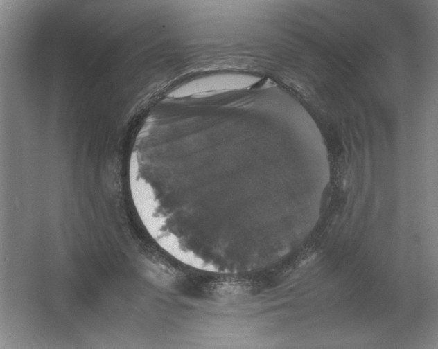 X0000062150303200512301600