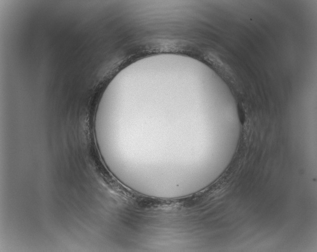 X0000062150306200512301600