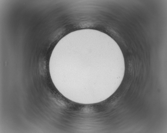 X0000062150308200512301600