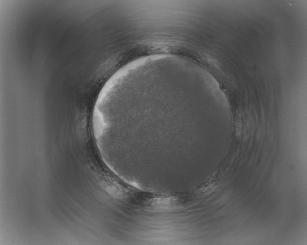 X0000062150314200512301600