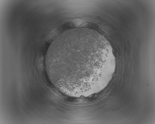 X0000062150319200512301600
