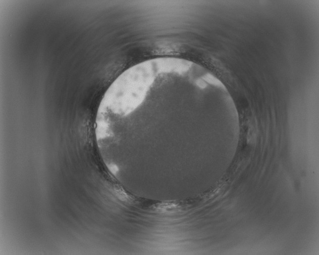 X0000062150322200512301600