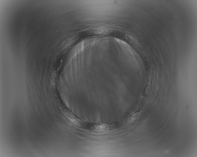 X0000062150325200512301600