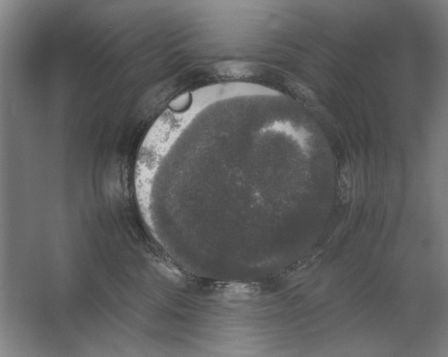X0000062150330200512301600