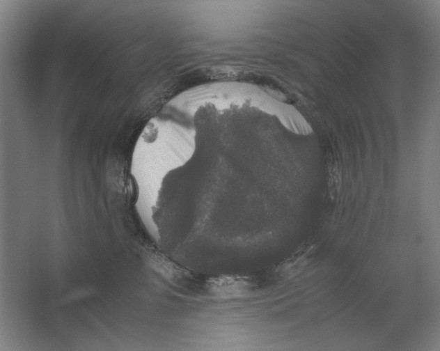 X0000062150331200512301600