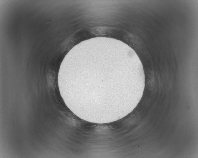 X0000062150332200512301600