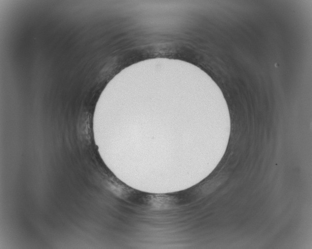 X0000062150336200512301559