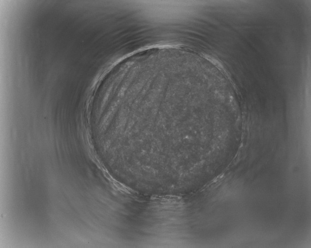 X0000062150337200512301559