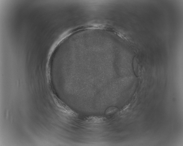 X0000062150343200512301559