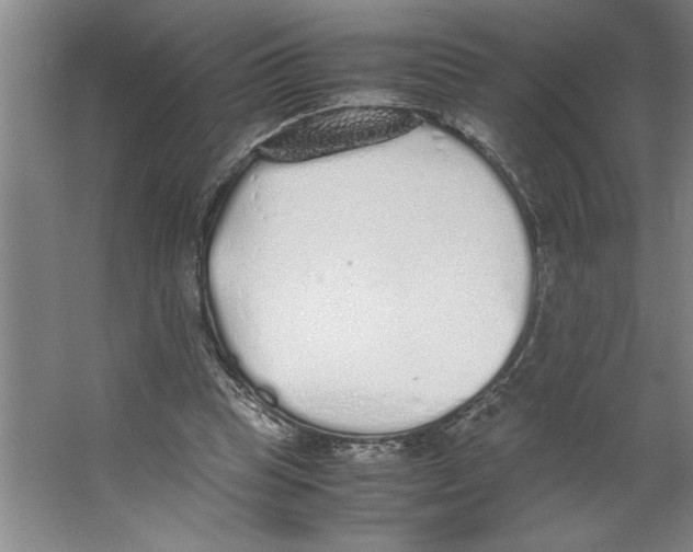 X0000062150345200512301559
