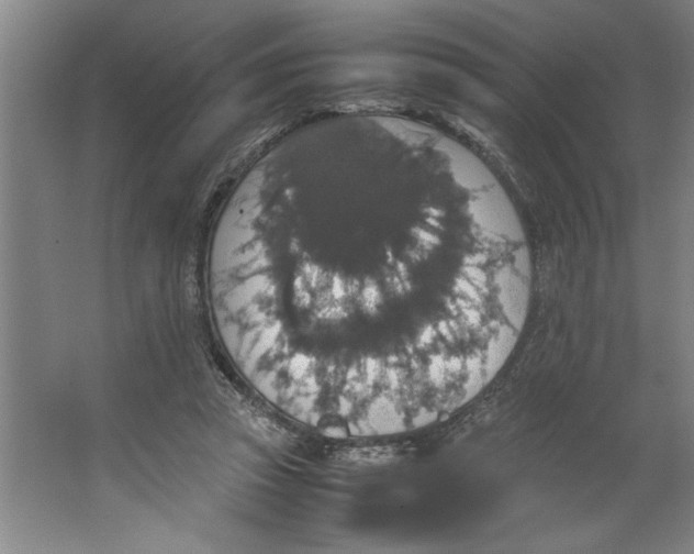 X0000062150353200512301559