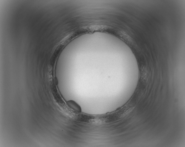 X0000062150356200512301559