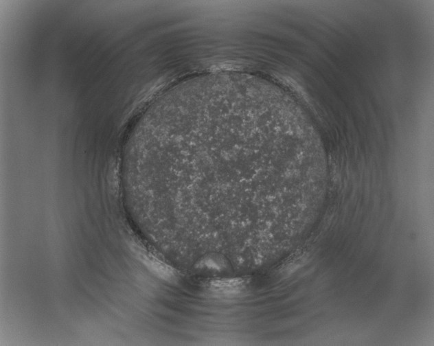 X0000062150357200512301559