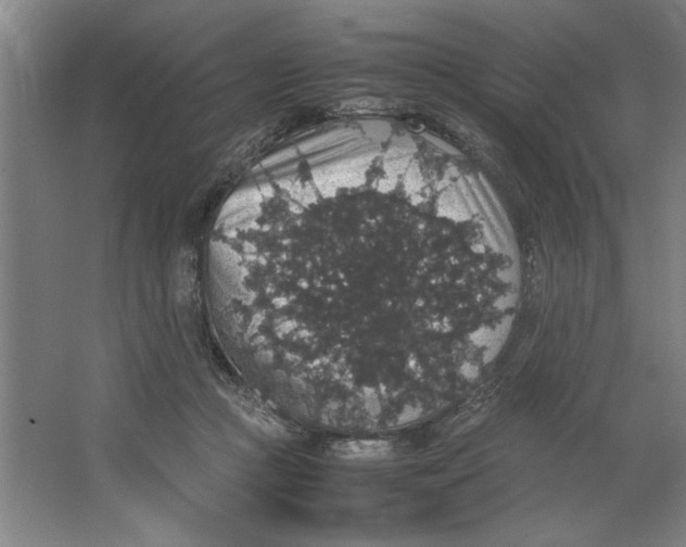 X0000062150361200512301559