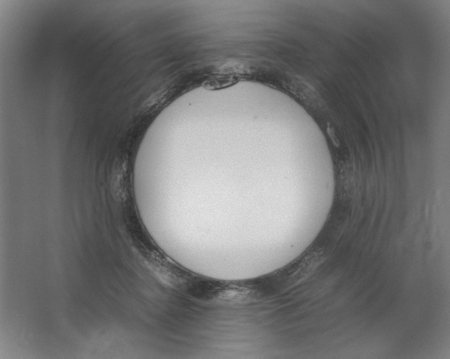 X0000062150364200512301559