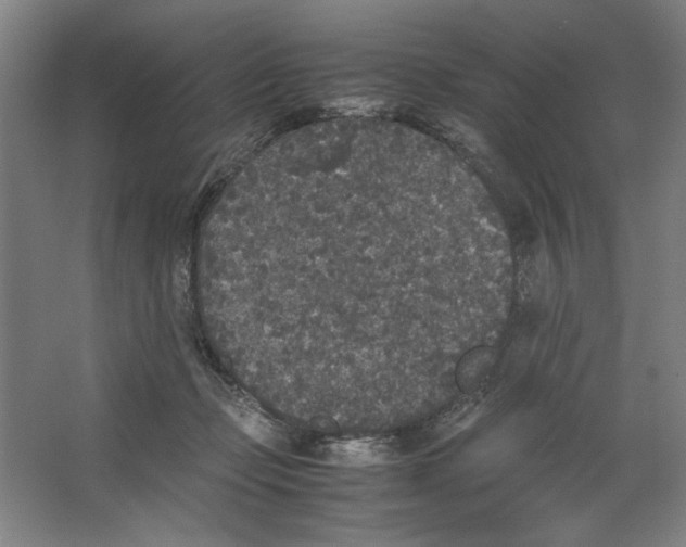 X0000062150365200512301559