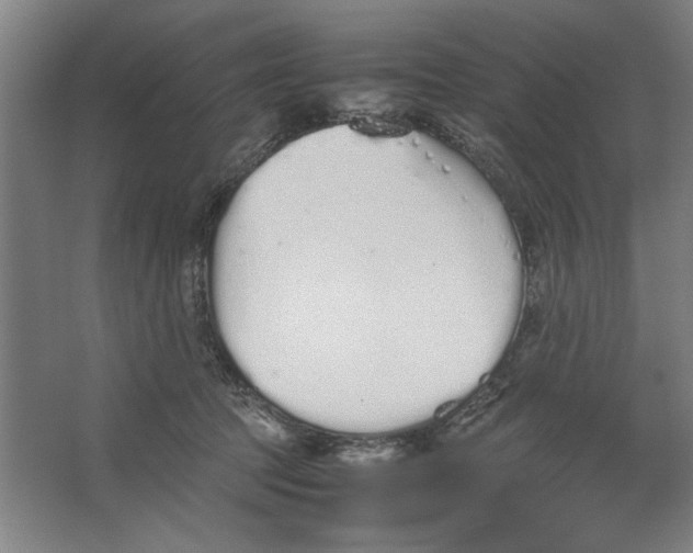 X0000062150369200512301559