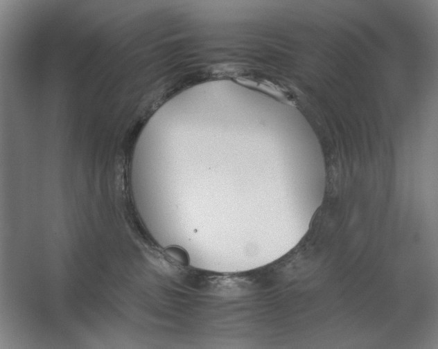 X0000062150379200512301559