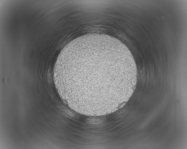 X0000062150381200512301559