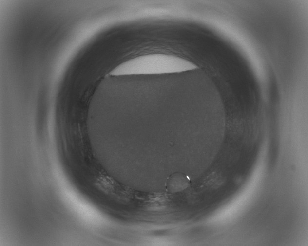 X0000062150382200512301559