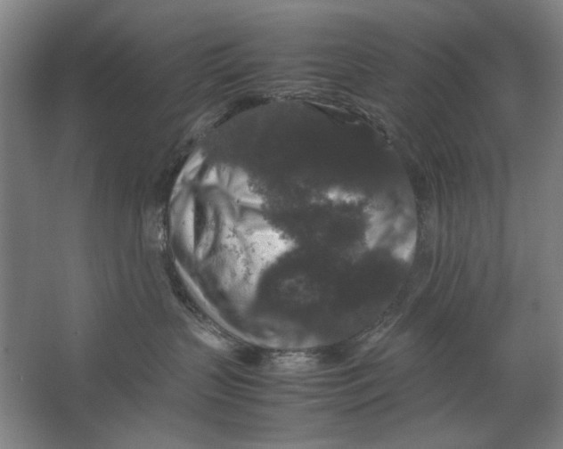 X0000062150383200512301559